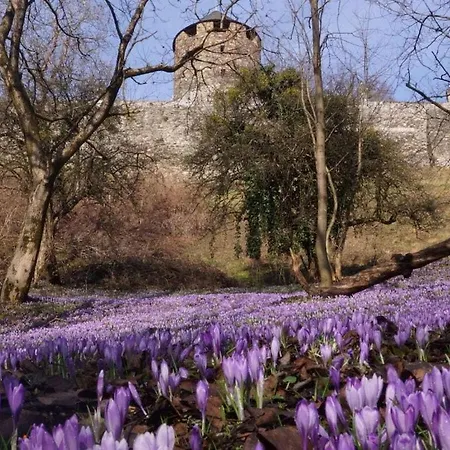 Penzinger In Casa vacanze