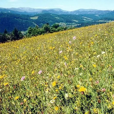 Casa vacanze Penzinger In Deutschlandsberg