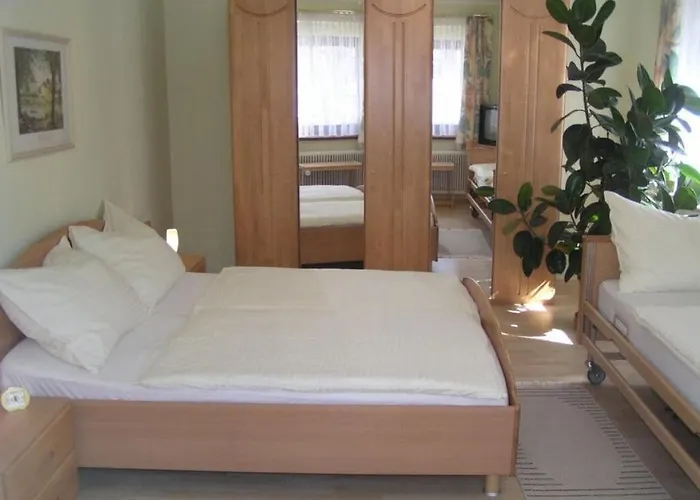 Penzinger In دويتشلاندزبرغ