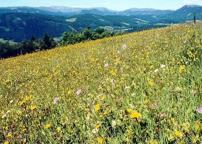 بيت للعطل Penzinger In دويتشلاندزبرغ