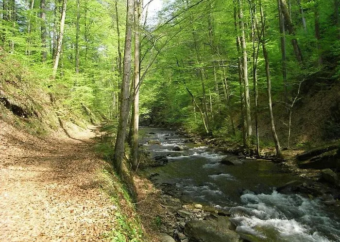 Penzinger In دويتشلاندزبرغ